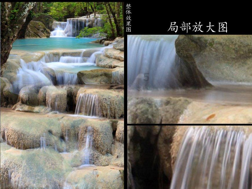 动物狂欢夜