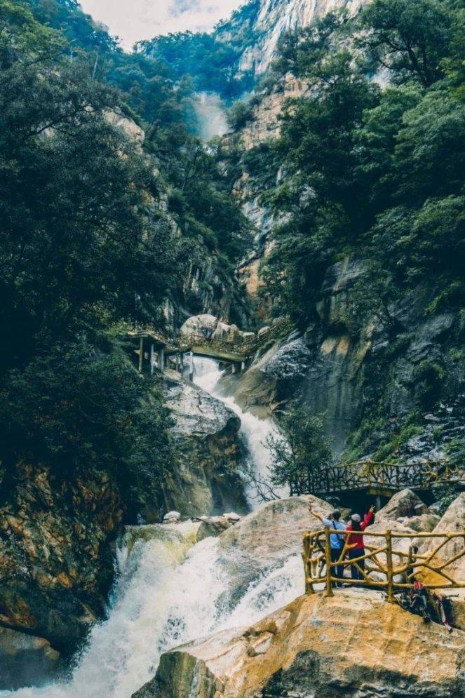 爱吃的鱼